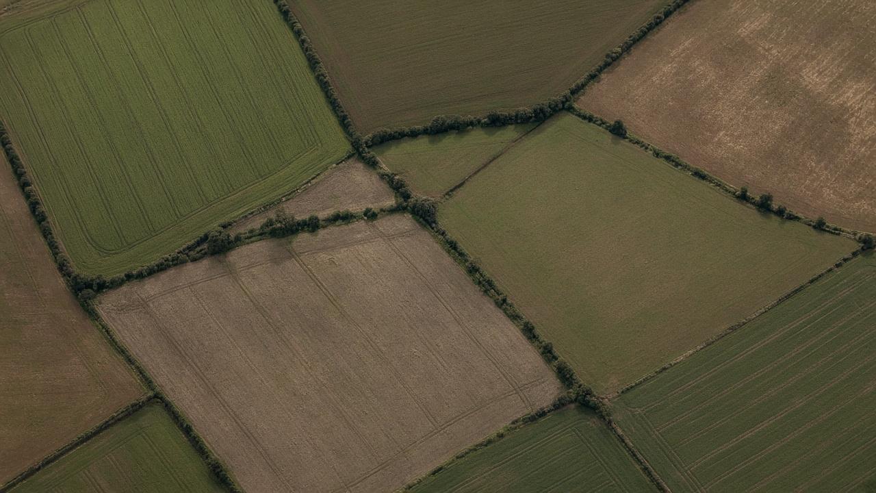 Aerial view of fields divided by hedgerows