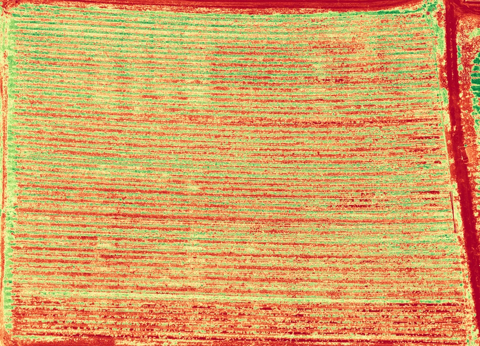 20 April 2026: Strawberry 1 • Vegetation-index field review. The five-row planting concern was identified during the field assessment.
