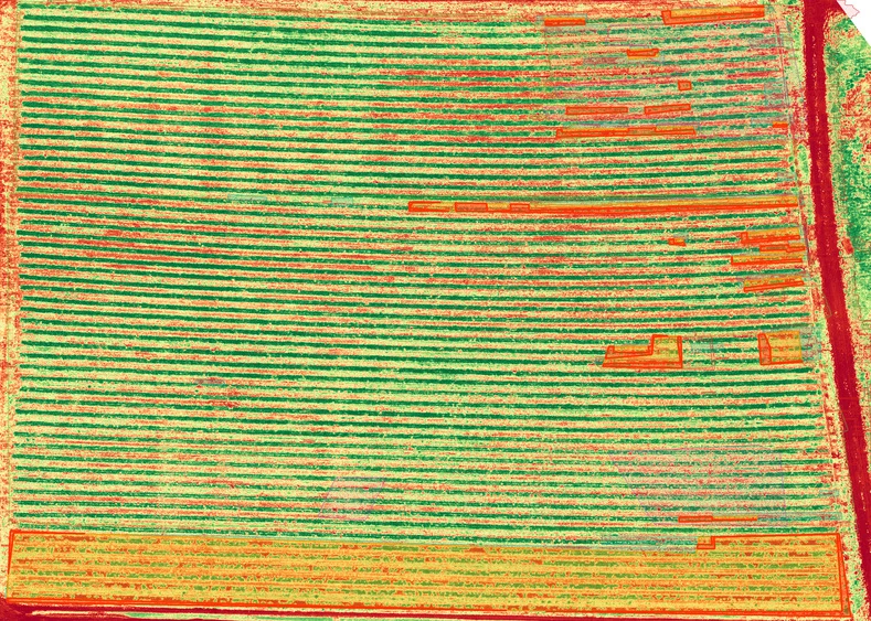 Strawberry 1 vegetation-index review map, 22 May 2026