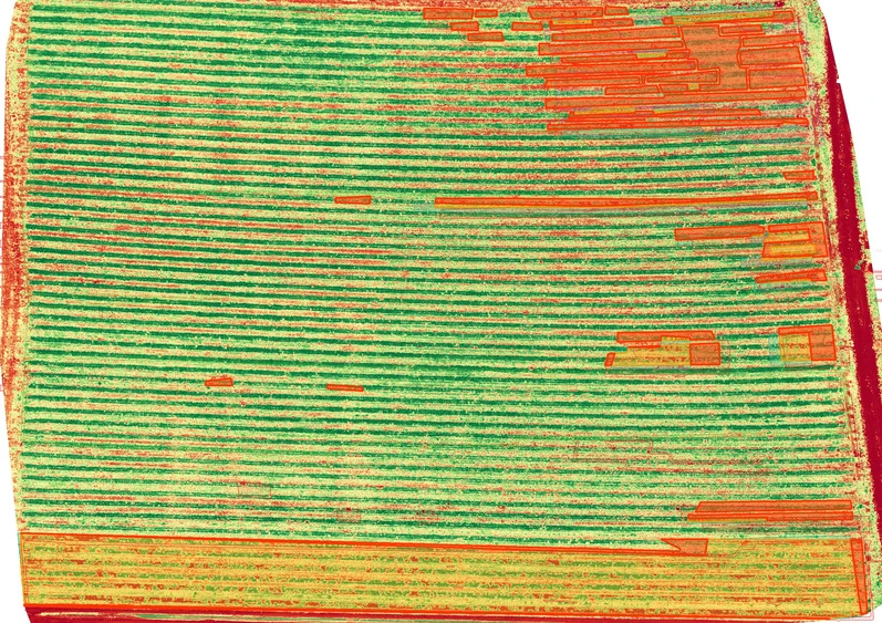 Strawberry 1 vegetation-index review map, 27 May 2026