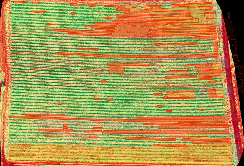 Strawberry 1 vegetation-index review map, 29 May 2026